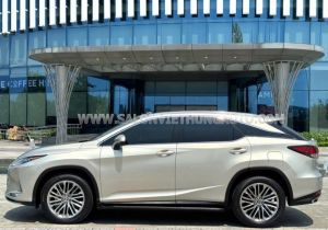 Xe Lexus RX 300 2022