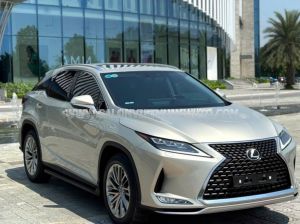 Xe Lexus RX 300 2022