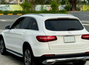 Xe Mercedes Benz GLC 200 2019