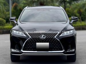 Xe Lexus RX 300 2021