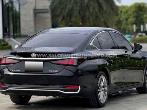 Xe Lexus ES 250 2021
