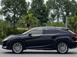 Xe Lexus RX 300 2021